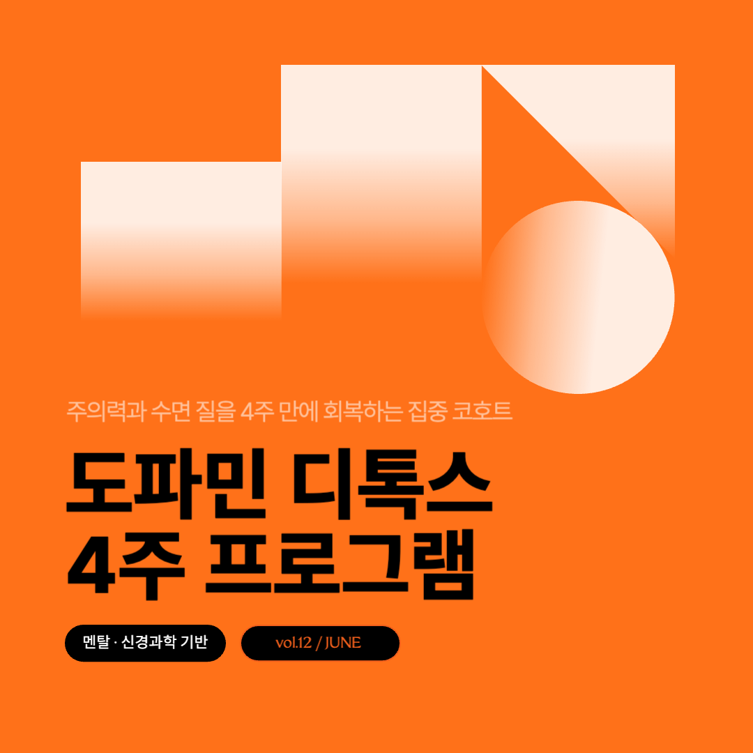 도파민 디톡스